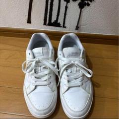 vans スニーカー25.5cmのサムネイル