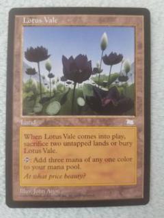 ウルトラプロ公式 ライフカウンター 水蓮の谷間 未開封 Lotus Vale 2025年最新】水蓮の谷間の人気アイテム - メルカリ