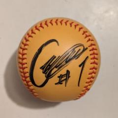 【東京ヤクルトスワローズ】岩村明憲　サインボールのサムネイル