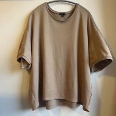 2025年最新】INDIVI レディース 半袖(Tシャツ) Tシャツ