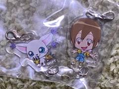 八神ヒカリ&テイルモンの中古/未使用品 - メルカリ