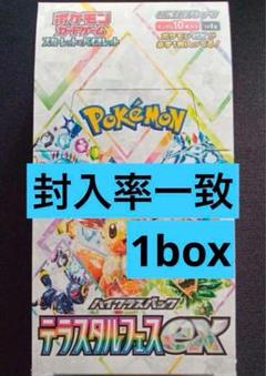 2025年最新】テラスタルフェスex BOX 10の人気アイテム - メルカリ