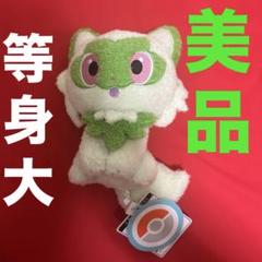からのさん専用【ポケモン】みがわり　ぬいぐるみ　大【ポケモンセンター限定】 からのさん専用【ポケモン】みがわり ぬいぐるみ 大【ポケモン