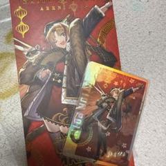 ユニオンアリーナ アークナイツ 中国 スワイヤー AP アクション