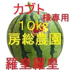 １０㎏・メル便・広島県・カブト・羅皇ザ・スイート もぐもぐ様専用・羅皇ザ・スイート - メルカリ