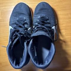 Nike Zoom Ascendant バスケットシューズ 黒/白