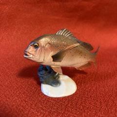 原色海水魚図鑑　マダイ
