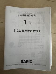 2025年最新】sapix 1年生の人気アイテム - メルカリ