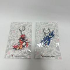 希少　ポケパーク　キーホルダー　グラードン　カイオーガ 希少 ポケパーク キーホルダー グラードン カイオーガ