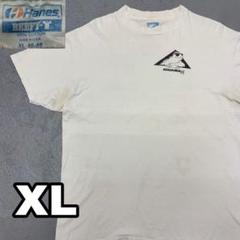 6WD185 90s Hanes IGUANAjoe イグアナ　イラストtシャツ
