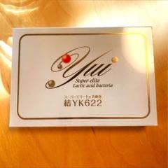 腸内細胞　結　スーパーエリート　乳酸菌 楽天市場】【送料無料】 結 YK622 スーパーエリート 乳酸菌 1g