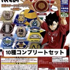 ハイキュー!! 高校モチーフピンバッジ3 トレーディングピンズ ハイキュー!! 高校モチーフピンバッジ3 全国編」10種