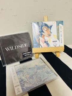ビースターズ音楽CDセット WILD SIDE /優しい彗星/Le zoo ビースターズ音楽CDセット WILD SIDE /優しい彗星/Le zoo - メルカリ