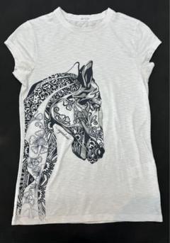 EQUILINE Tシャツ