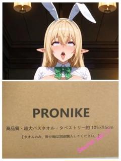 ベヒ猫 クッションカバー・ブランケット アリア調 逆バニーver. 新品未開封 ベヒ猫 クッションカバー・ブランケット アリア調 逆バニーver