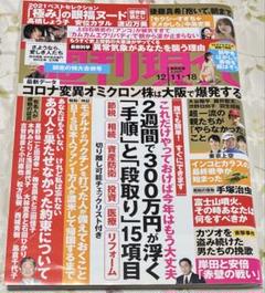 週刊現代2021年12月18日号のサムネイル
