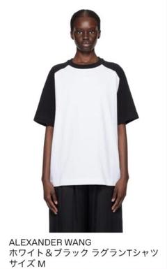 alexander wang - 【ラスト1点】 LONG SLEEVE TEE WITH TUNE IN