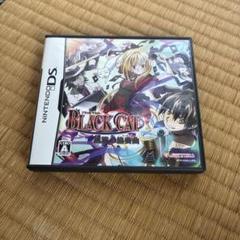 ✴︎11時時間以内発送✴︎DS ブラックキャット 動作品