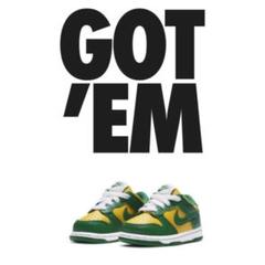 NIKE 10㎝ ベビー ダンク ロー ブラジル 新品未使用