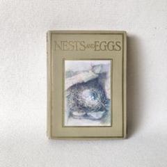 1900年代初期 希少！イギリスの鳥の巣と卵の図鑑　アンティーク　鳥図鑑 1900年代初期 希少！イギリスの鳥の巣と卵の図鑑 アンティーク