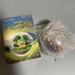ポケモンテラリウム　14個セット ポケットモンスター テラリウムコレクション14 6個入りBOX