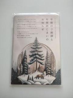 年賀状じまい 葉書 10枚 私製ハガキ 年賀状
