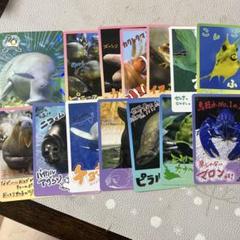 鳥羽水族館⭐️コレクションカード⭐️ジュゴン⭐️セレナ⭐️レア２枚セット 鳥羽水族館 コレクションカード コレカ ノーマルカード 全72種