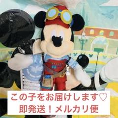 ディズニーシー ドリームステイクフライト ミッキー ぬいぐるみバッジ ②