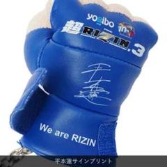 2025年最新】RiZIN グローブ サインの人気アイテム - メルカリ