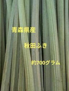 岩手県産 秋田フキ 3kg 2025年最新】秋田県産秋田フキの人気アイテム - メルカリ