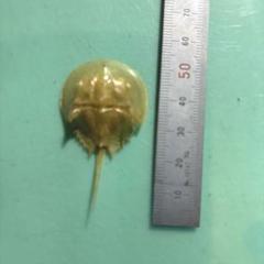 m84965111398_1.jpg?1724945327