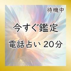 【今すぐ鑑定】電話占い 20分