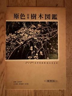 2025年最新】原色日本樹木図鑑の人気アイテム - メルカリ