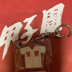 智辯学園　甲子園ウェア　希少品 Yahoo!オークション -「智辯」(ウエア) (野球)の落札相場・落札価格