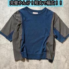 可愛いシルエット！短丈　身幅広い五部そでTシャツ 切り替え　古着デザイン
