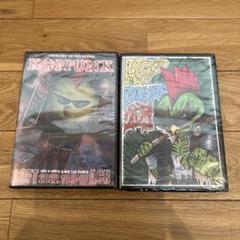 新品 非売品 カッパンク KAPPUNK 2022/2023 DVD 2点セット