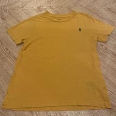 POLO RALPH LAUREN イエロー Tシャツ 6/120