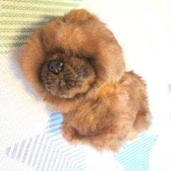 【アンティーク】茶色の小犬のぬいぐるみ　ヴィンテージ レトロ 昭和レトロ ヴィンテージ ぬいぐるみの三英 中国犬 チャウ犬