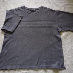 SACSNY グレー ストライプ Tシャツ M
