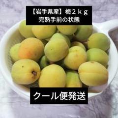 2025年最新】クール便対応の人気アイテム - メルカリ