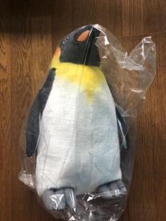 リアルペンギンBIG ぬいぐるみ