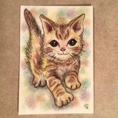 色鉛筆画A4 茶トラ白.35 色鉛筆画 茶トラ猫 A4 - メルカリ
