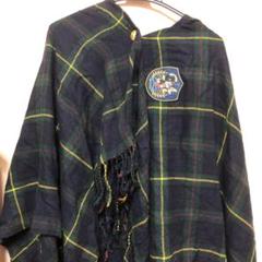 【本日限定100円引き】ディズニーリゾート限定 ミッキー チェック柄 ポンチョ