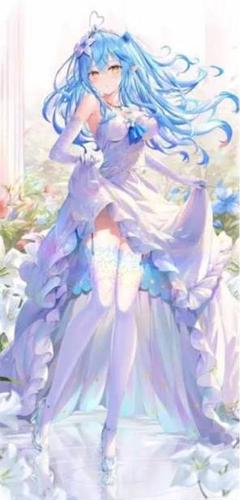 リンユウ　雪花ラミィ　ホロライブ　水着　ラミィ B2 タペストリー 61sJAjKNI1L._AC_SY200_QL15_.jpg