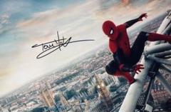 スパイダーマン　トム・ホランド & ゼンデイヤ 直筆サイン入り写真 保証書付　Ⅵ スパイダーマン トム・ホランド 直筆サイン入り写真 保証書付き