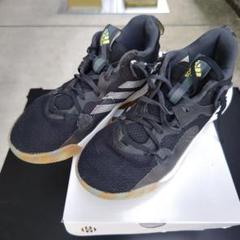 ★箱付★【adidas】 Paron Stepback バッシュ 24.5