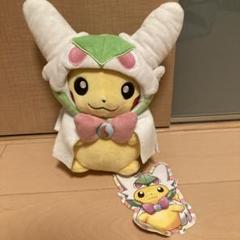安価 ワタナベ メガサーナイトのポンチョを着たピカチュウ ぬいぐるみ ポケモン ぬいぐるみ