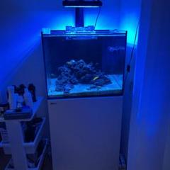 S⭐︎断捨離中　 屋外用ゴミ箱 業務用ダストボックス 47.5L オフホワイト色