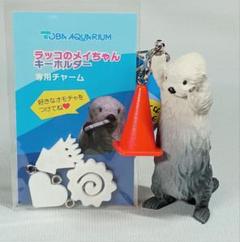 安いキーホルダー 鳥羽水族館の通販商品を比較 | ショッピング