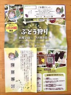 あさつゆ愛のぶどう園　ぶどう狩り　来園チケット